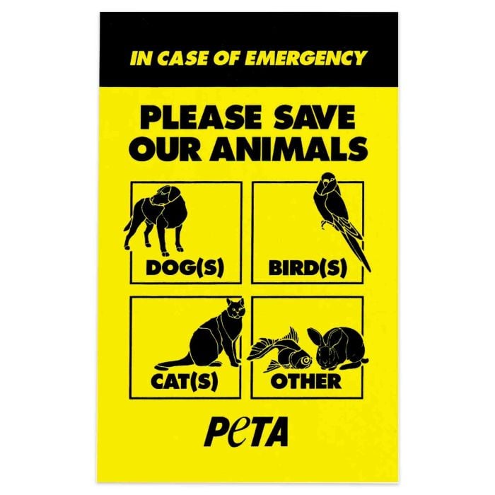 Please Save Our Animals Sticker