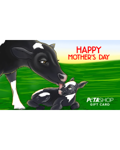 Happy Mother's Day Gift Card
