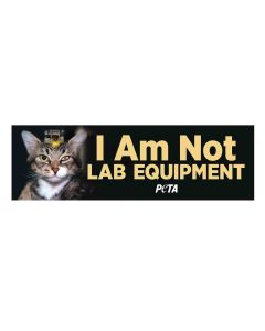 I Am Not Lab Equipment Bumper Sticker (Cat)