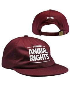 I Support Animal Rights Cap