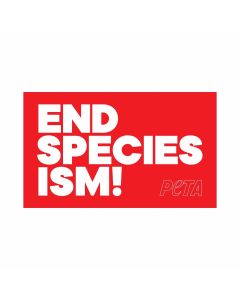 End Speciesism Bumper Sticker