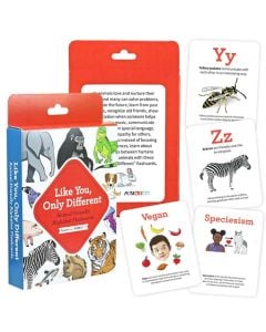 Like You, Only Different TeachKind Flashcards 