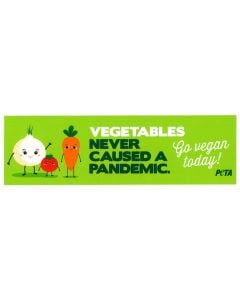 Vegetables Never Caused a Pandemic Bumper Sticker