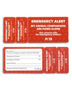 Animal Companion Emergency Alert Key Tag and Card