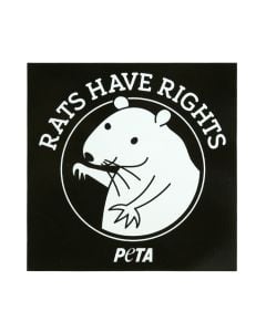 Rats Have Rights Bumper Sticker