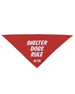Shelter Dogs Rule Dog Bandanna