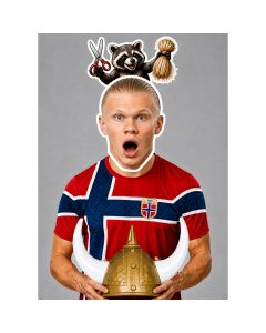 Erling Haaland 'The Raccoon Strikes Back' Costume
