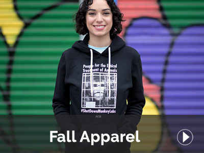 Fall Styles