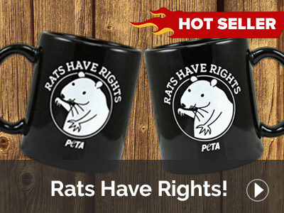 Rights Have Rights
