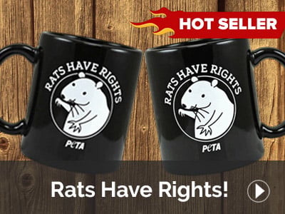 Rights Have Rights