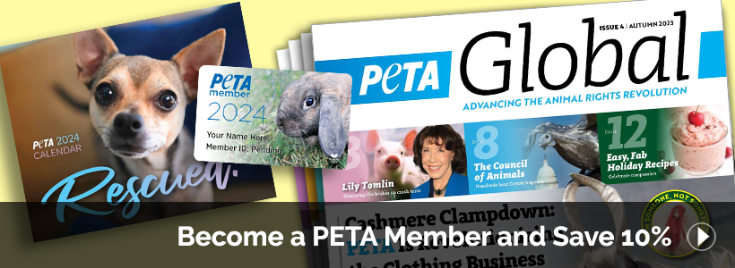 Become a PETA Member and Save 10%