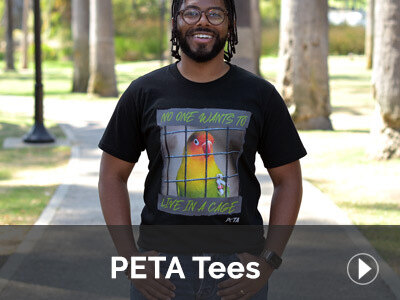 PETA Tees